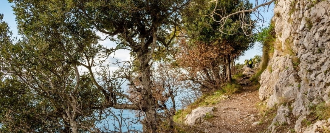 Walk of the Gods trail